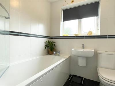Picture 12